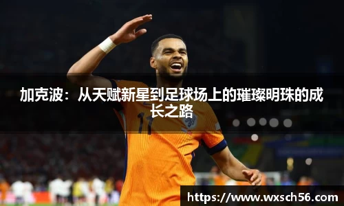 加克波：从天赋新星到足球场上的璀璨明珠的成长之路